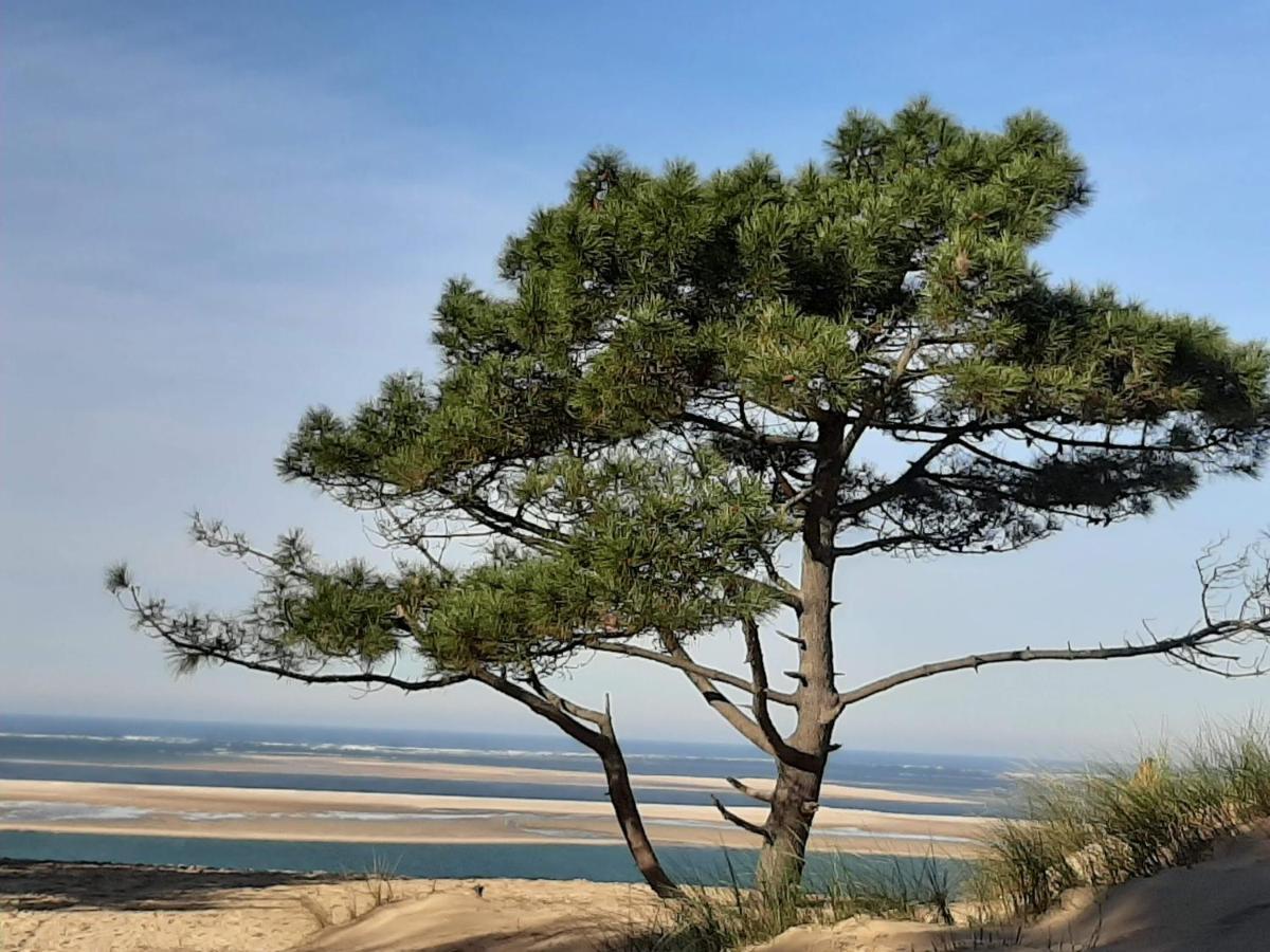 Maison D'Hote Neuve : T2 Pour 4 Voyageurs Mios Esterno foto